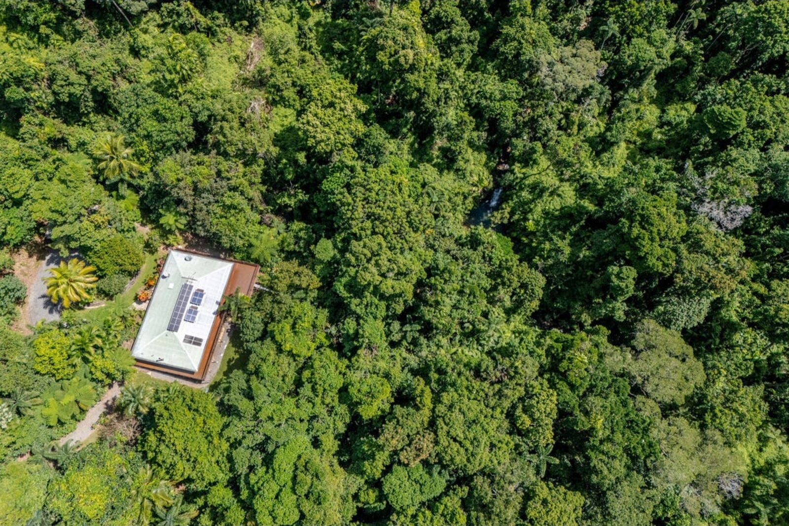 Aerial view of Fairy Falls at Cow Bay, an off-grid solar home tucked into dense Daintree rainforest with its waterfall visible through the canopy