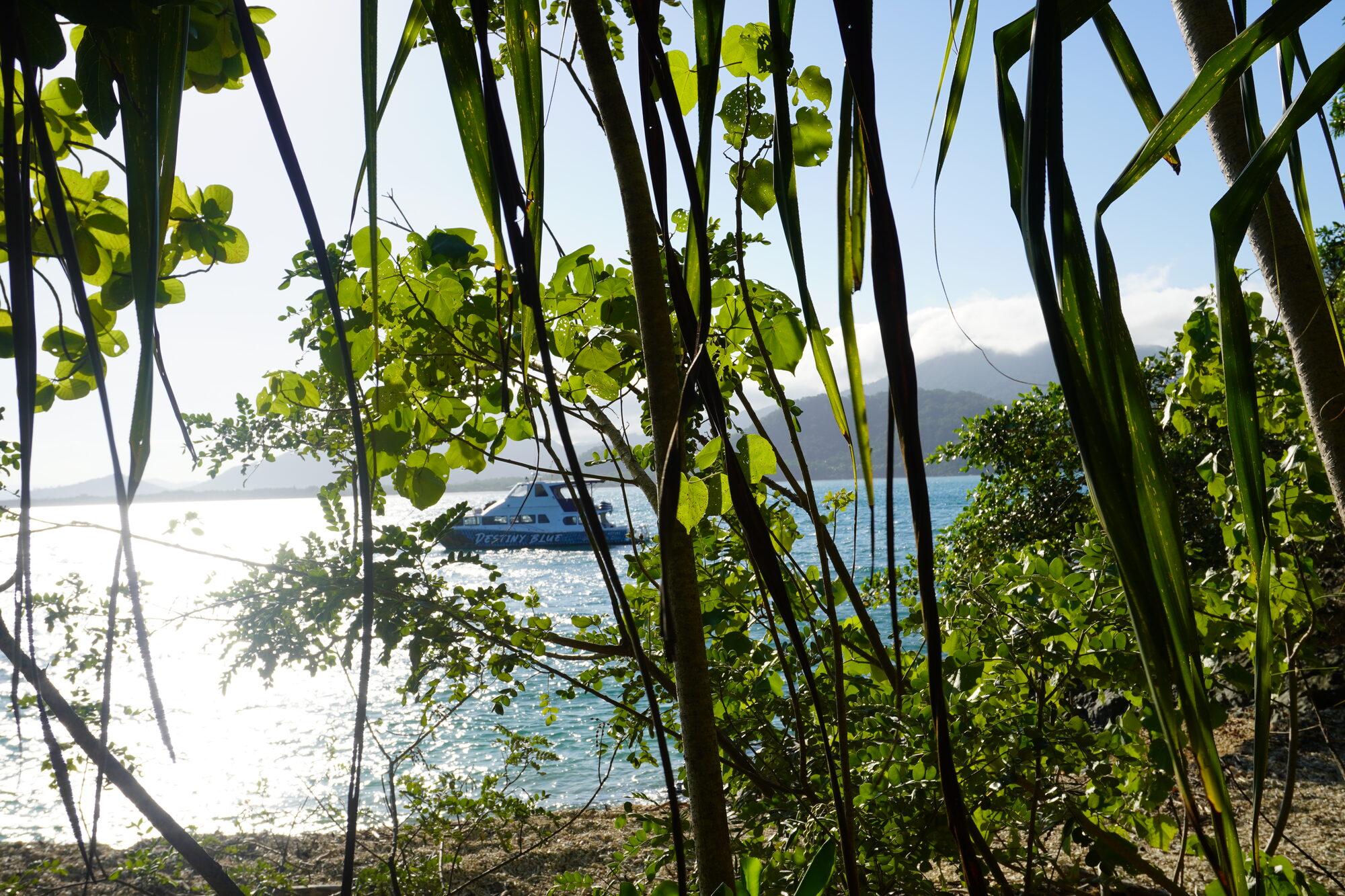 The Destiny Blue charter boat moored off Port Douglas, seen through rainforest foliage at the waterAerial view of the Port Douglas coastline where the Daintree Rainforest meets the Coral Sea and the Great Barrier Reef#39;s edge